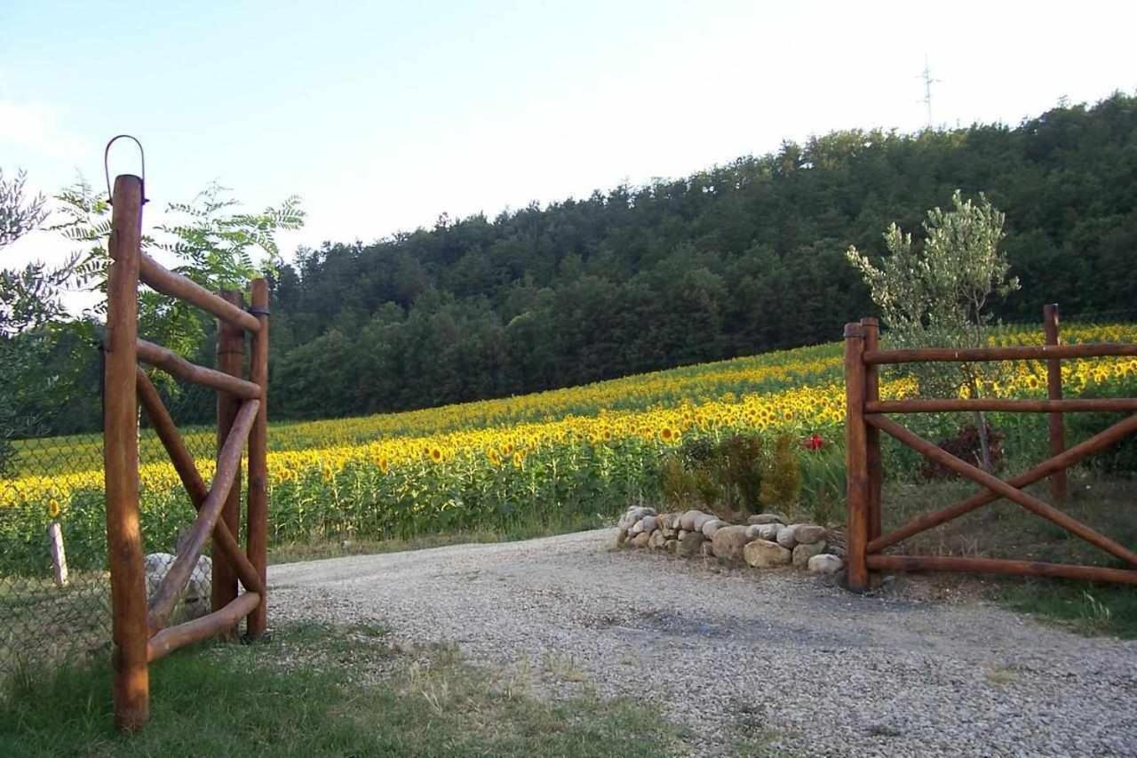 אניירי Appartamenti Con Cucina Nelle Colline Toscane מראה חיצוני תמונה
