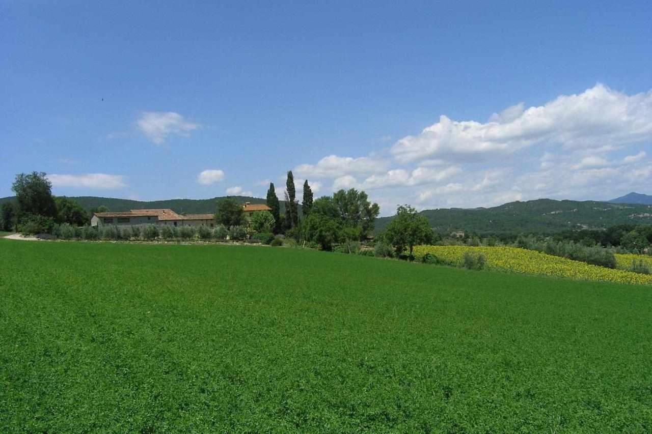 אניירי Appartamenti Con Cucina Nelle Colline Toscane מראה חיצוני תמונה