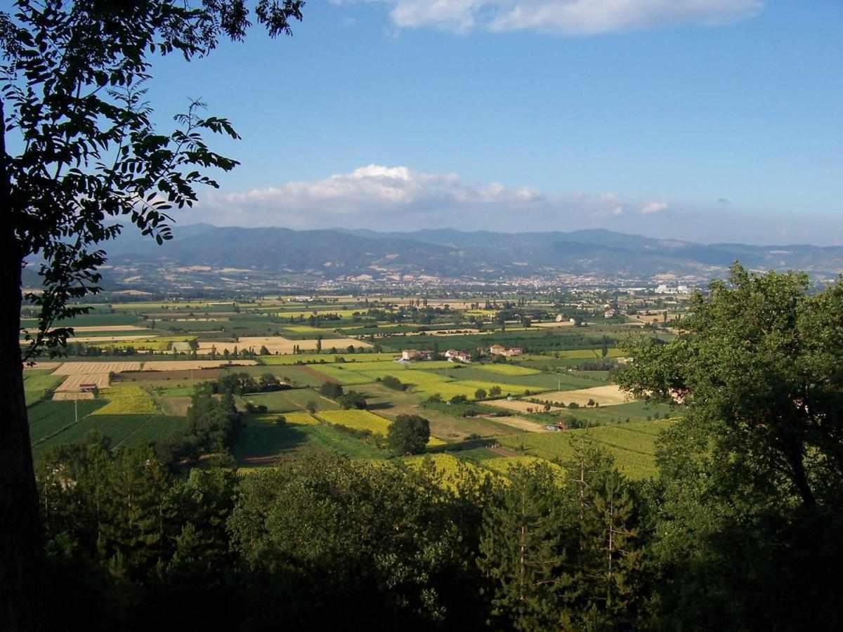 אניירי Appartamenti Con Cucina Nelle Colline Toscane מראה חיצוני תמונה