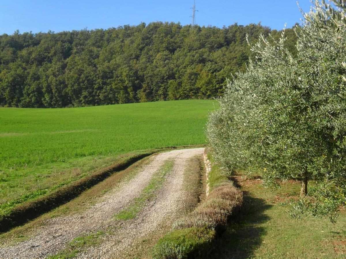 אניירי Appartamenti Con Cucina Nelle Colline Toscane מראה חיצוני תמונה