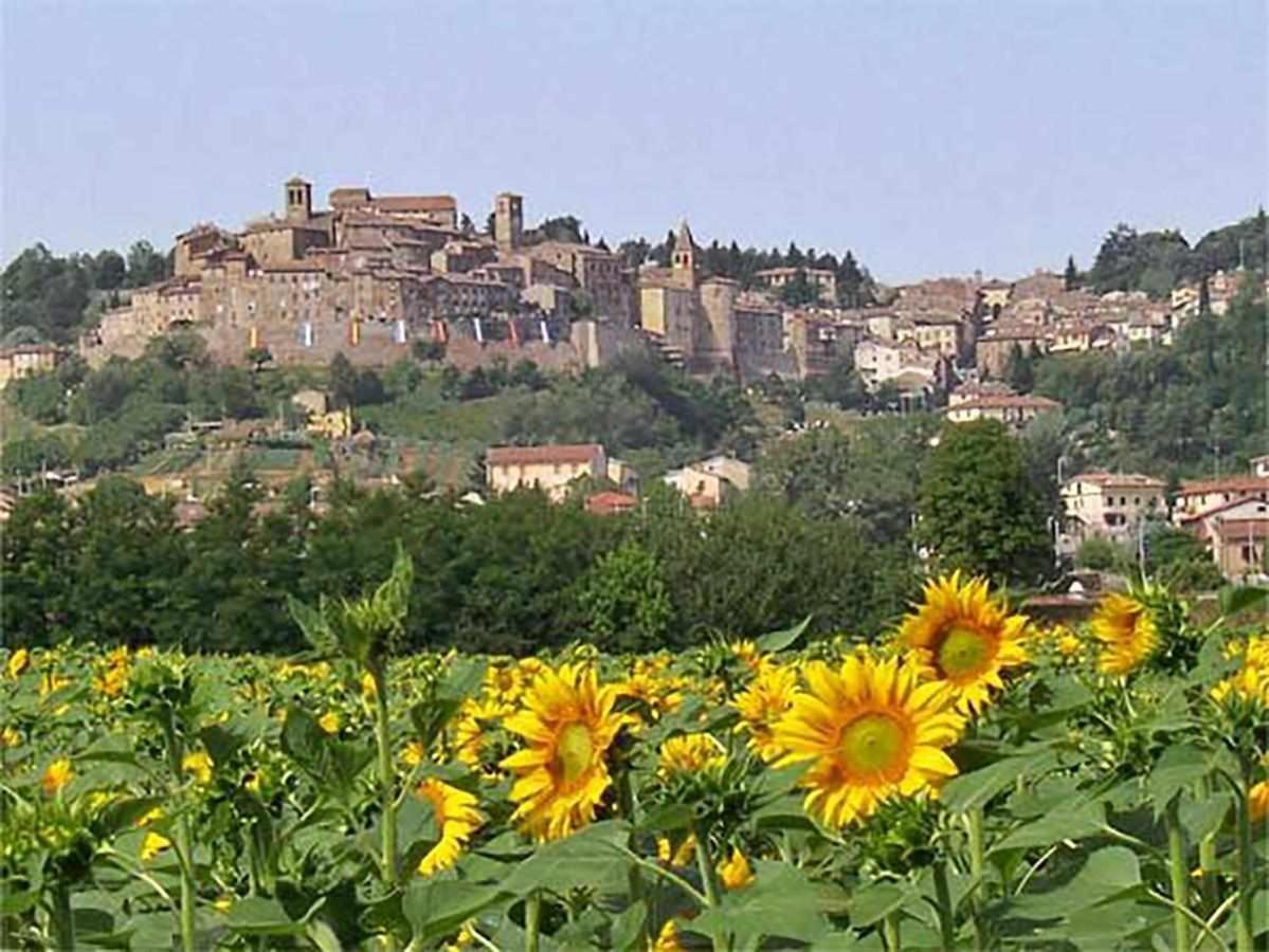 אניירי Appartamenti Con Cucina Nelle Colline Toscane מראה חיצוני תמונה